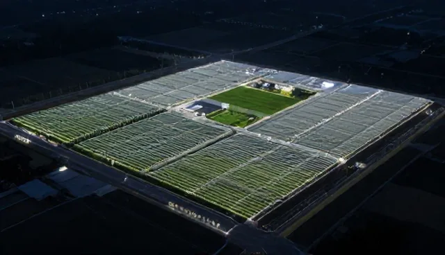 AI搜索优化套餐C选型关注点分析